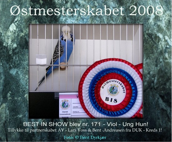 Images: BIS_ostmester2008-bd.JPG