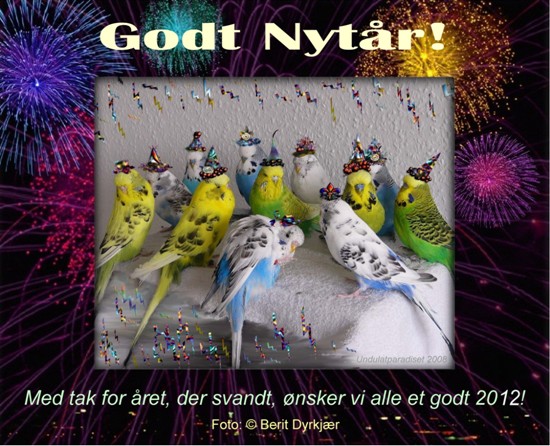 articles: godt_nytaar_2012_bd.JPG