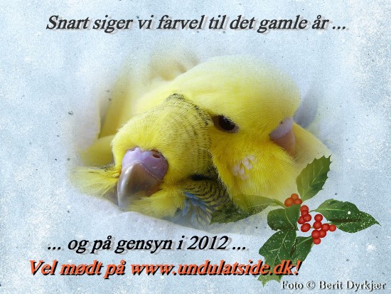 articles: godt_nytaar_2012_c.jpg