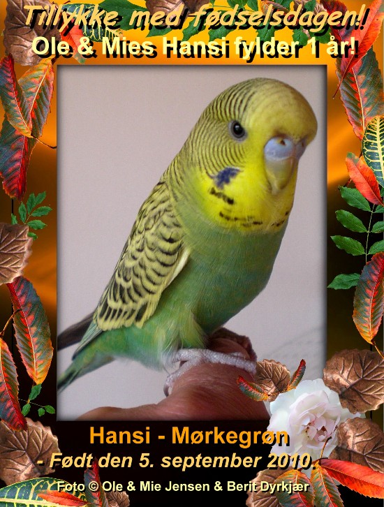 news: hansi1aar2011.jpg