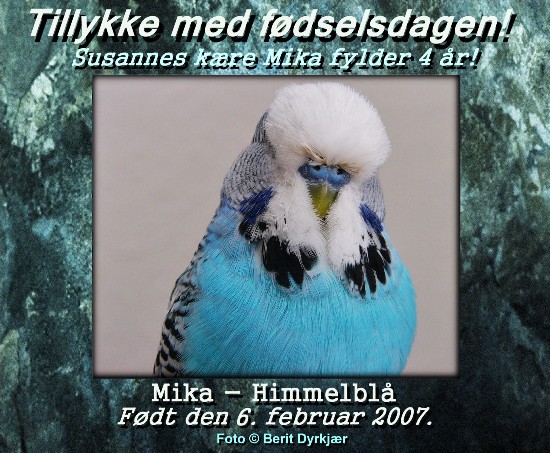 news: mika_4_aar_2011_bd.JPG