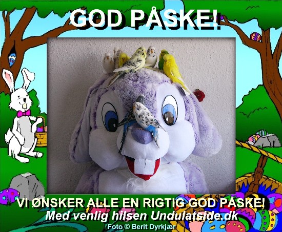 news: paasken_2011.JPG